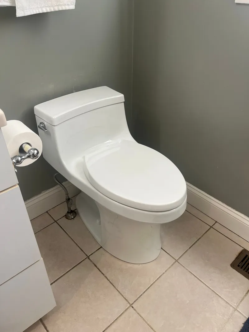 Toilet clog inspection and drain clearing