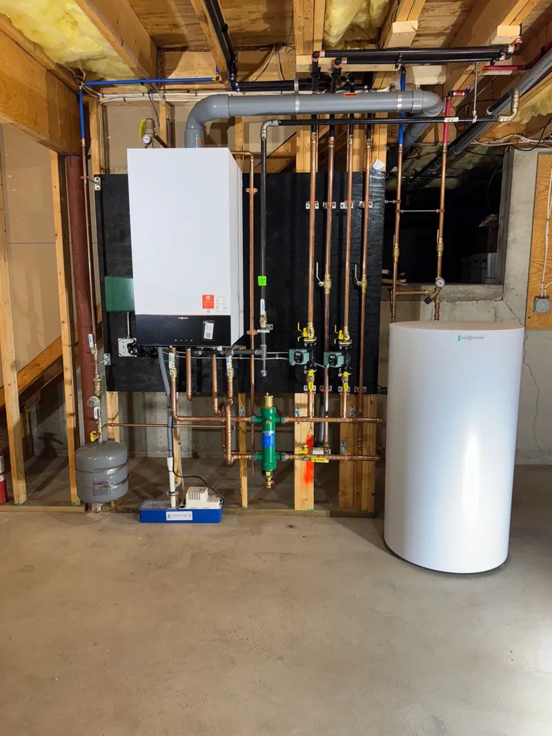 Complete hydronic heating and hot water system