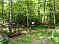 Rehoboth State Forest, Massachusetts