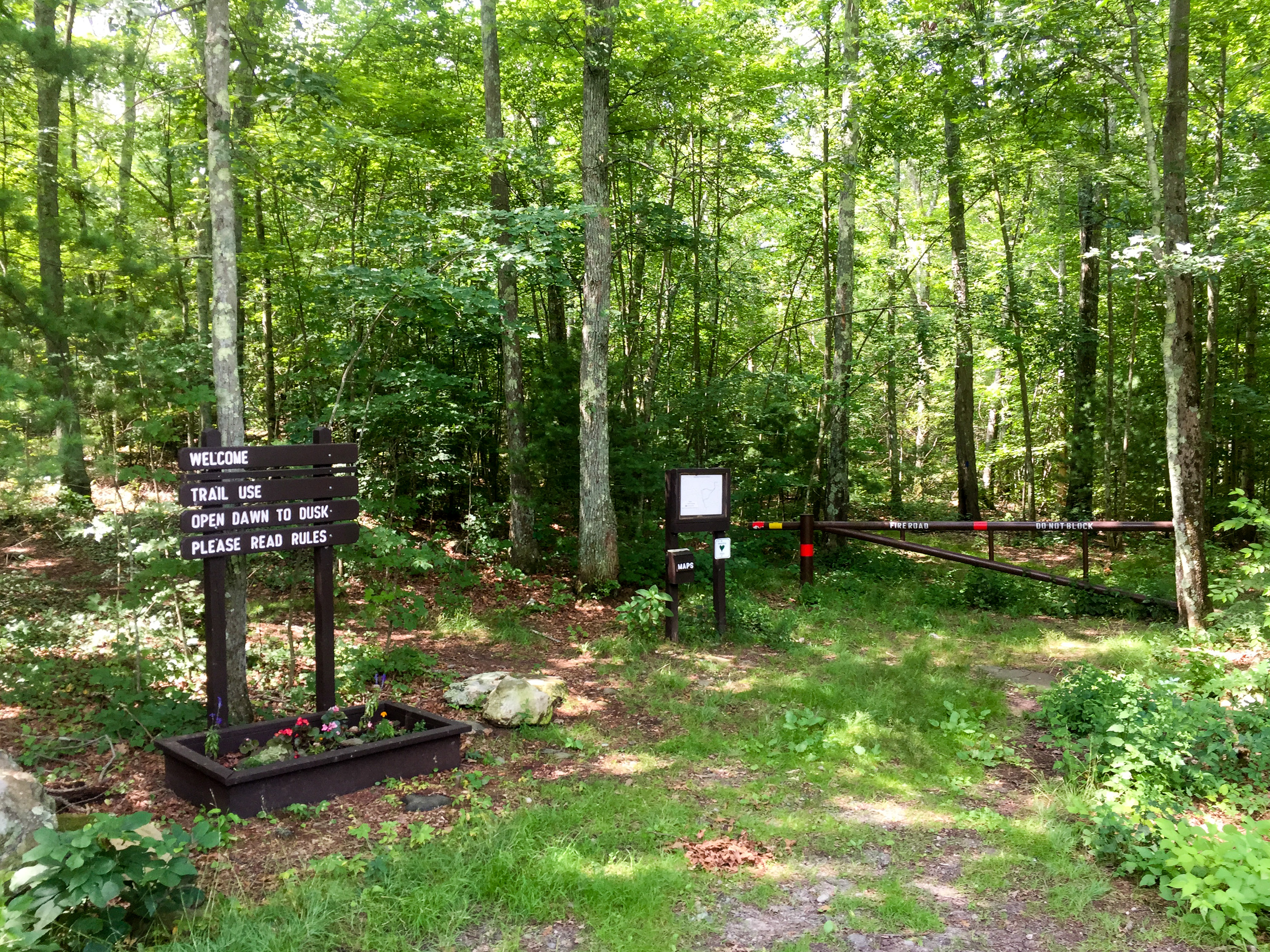 Rehoboth State Forest, Massachusetts